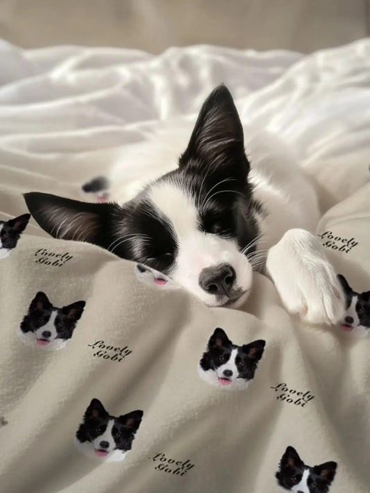 Custom Pet Blanket With Photo: The Complete Guide