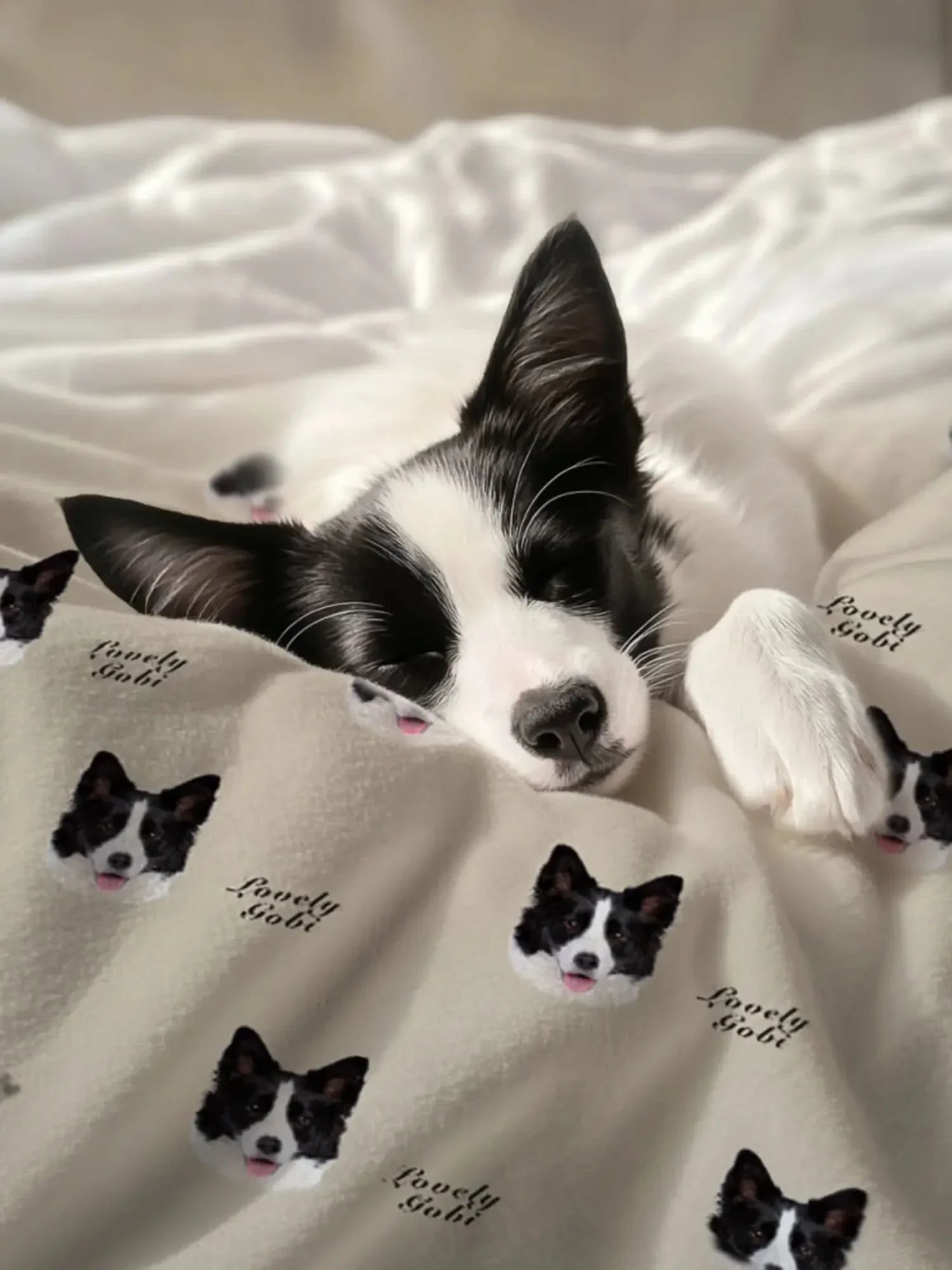 Custom Pet Blanket With Photo: The Complete Guide