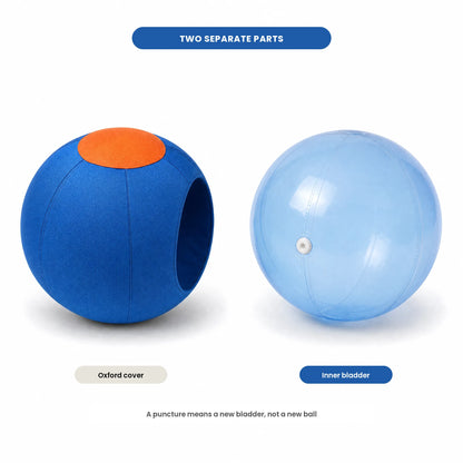 DriveBall replacement bladder shown next to the zip-open oxford cover it fits inside