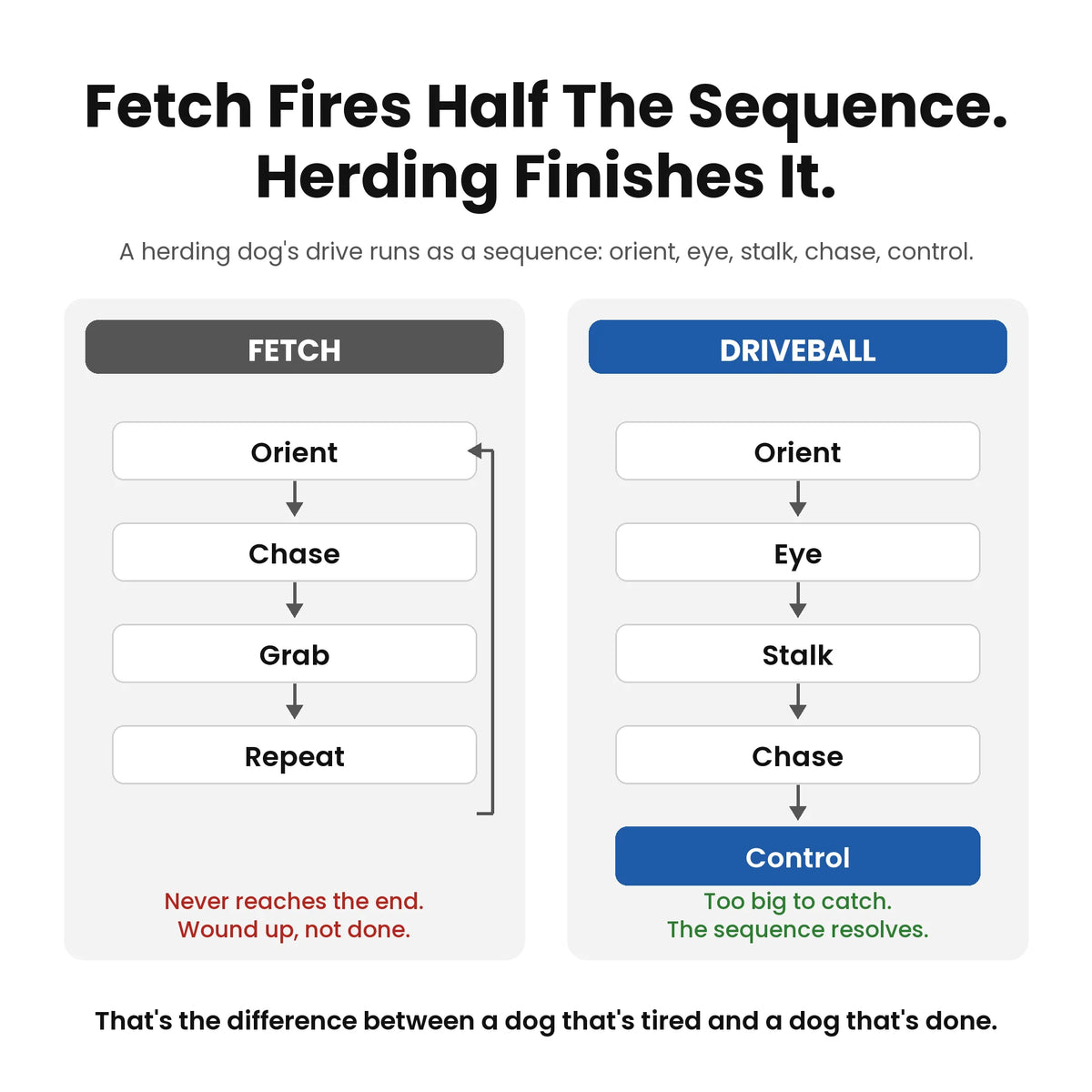 driveball-pdp-fetch-vs-herding.webp