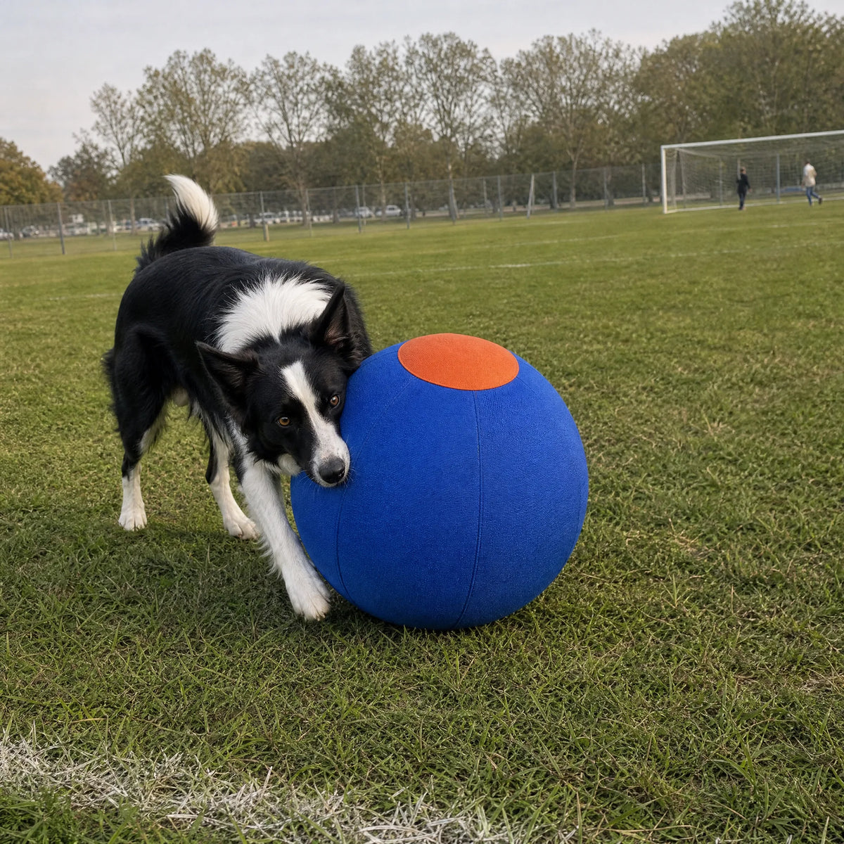 driveball-review-11.webp
